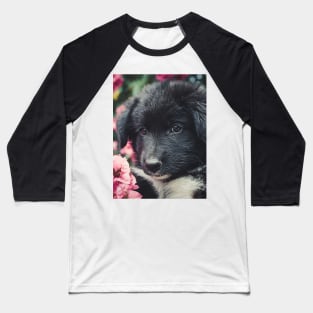 Cute puppy Baseball T-Shirt